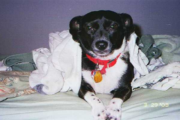 Meara, with laundry.