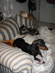 Part of the Pee/Poop Factory