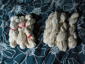 Corriedale on the left, Blue Faced Leicester on the right