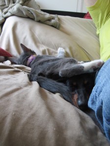 Milo and Weezy being extra cute