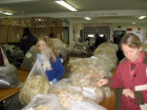 A whole lot more than 3 bags full!