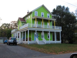 This could be a fun roving color combo.  "Angry House Owners"