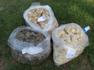 Three fucking bags full!