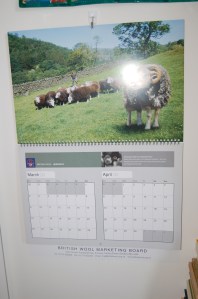 Sorry about the flash splotch.  Trust me, the ram is plenty handsome!