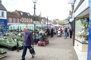 Lots of spring plants for sale
