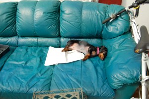 Weezy soaking up the rays..