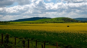 Is this not the coolest commute view you've ever seen?