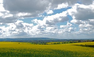 What an amazing day!