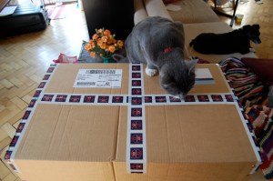 Milo MUST inspect all packages upon entrance to the chapel