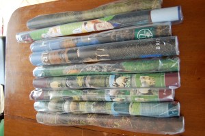 (did you really think that I would unroll them with Milo around?)