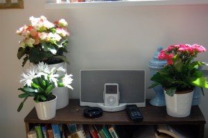 Bose soundock with blooms