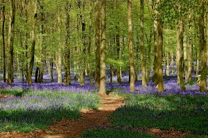 Is this not REALLY cool?!?!