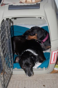 We even cuddle with each other at times.