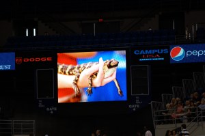 A baby gator on the Jumbotron of course.