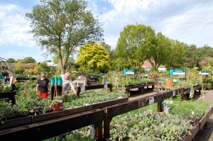 Look at all the plant-y goodness!