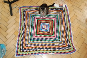 Granny Square blanket with Jiji for size perspective (and I couldn't get her off of it while standing on top of the couch to take the picture!)
