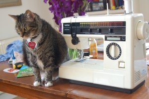 Our "New-To-Us" Sewing Machine with Jiji for perspective.