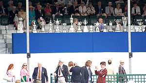 The cups that everyone was rowing for