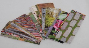 Amazingly cute and colorful cards!