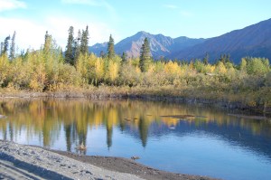 The pond where I saw the animal that I think was a wolf.