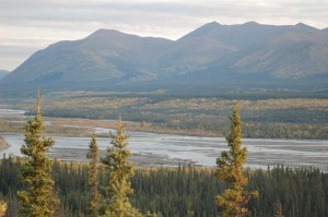The rivers and creeks here are REALLY wide but usually not a lot of water moving through them.  I can only imagine what this looks like in the spring!