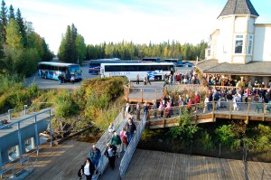 The ants go marching one by one....