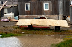 One of the skin boats that the natives still use for hunting whales.  Seriously.  