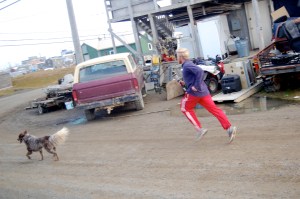 We had the honor of watching the Olympiuc Torch being run through Barrow.  It was totally a coincidence but a very cool one.  I loved the dog running along with him!