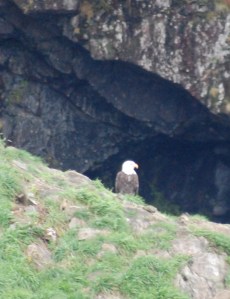 Like I said, Baldies everywhere!