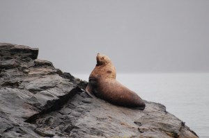 DSC_5922 It's hard being this beautiful!