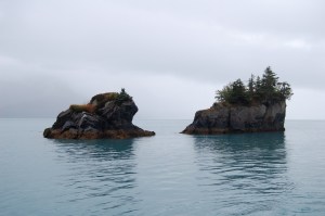 DSC_5933 Part of the surreal landscape.