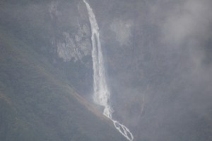 DSC_5946 Water is, of course, inmportant in this Northernmost temperate rainforest.
