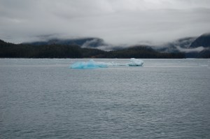 DSC_6004 Icebergs calved by the Columbia Glacier