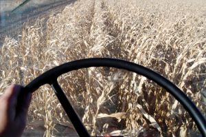 The view from the driver's seat.