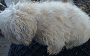 See what I mean by "shearing"?