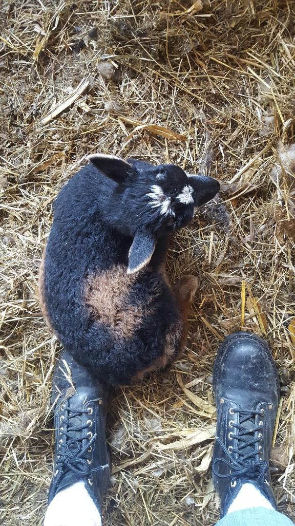 Resized952018052395125128