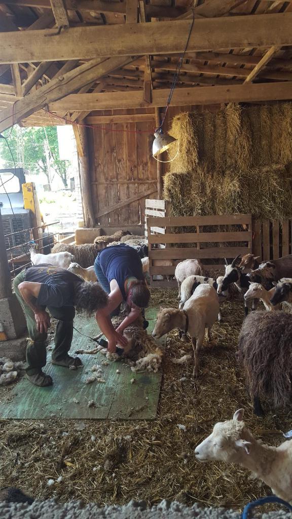 Resized952018052395133810